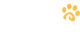 PetFest